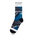 Fasterのシロナガスクジラ　親子 Socks