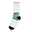 iikyanの恐竜⑦ Socks