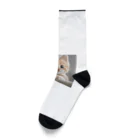 SaSuKeの癒される猫のイラスト Socks