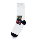 animalsの都会で共存する野生生物 Socks