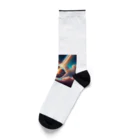 ZZRR12の巨大隕石 Socks