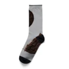 R＆YのAmericanスナック Socks