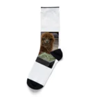 玉手箱のアルパカランチ Socks