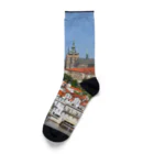 bitpiyoのプラハ城 Socks