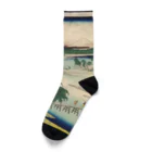 浮世絵屋の広重「冨二三十六景⑬　武蔵玉川」歌川広重の浮世絵 Socks