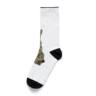 KYONDAのごにゃモデル Socks