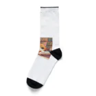 星パンダショップのほんよみかんねこ Socks