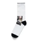 中原ひろふみのねずみ講代表 Socks