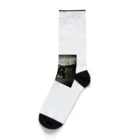 狼ショップの蒼穹の狼将 Socks