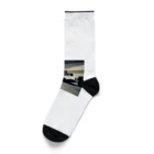 テフラんずのレーシングカー Socks