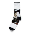 ZZRR12の海賊の支配者猫：海の覇者 Socks