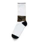 オレはニャン蔵の『猫に小判』オレはニャン蔵 Socks