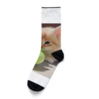 SkyBlueのもふもふな子猫 Socks