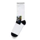 teru4312のカラス Socks