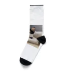 癒しリフレッシュの愛らしい子猫ちゃん Socks