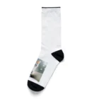 nico711のアメショちゃん Socks