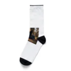 犬太郎の第一弾　『シャドウ』 Socks