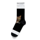 からすねこのショコラ Socks