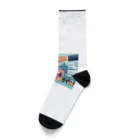 SatokorinのNISAは積立分散投資！ Socks