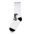 barbyGGGの超キュートなボクサー犬 Socks