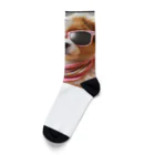 AQUAMETAVERSEのサングラスをかけた、かわいい犬 Marsa 106 Socks