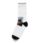 jkmurataのパールネックレス大好きなカッコいいねこがシドニーオペラハウス前にて Socks