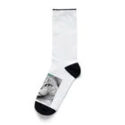 にゃんこーねこのドアップ猫 Socks