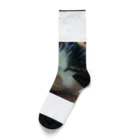 fashion-sametarouのミーちゃん2 Socks