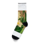 Aki-shopのスイレン Socks