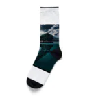 NoweのDinosaur fossils island Socks