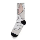 aahsrのくるくるうさくる Socks