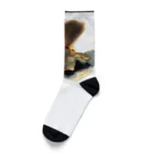 __AK__83のnuance art series Socks