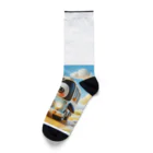 iwabousのペンギンバス Socks