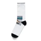 hakumenhonのサーフィンするペンギン第2弾 Socks