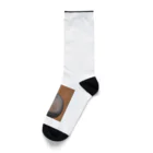 F2 Cat Design Shopのhairless cat 001 Socks