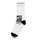 reeei56の宇宙船 Socks