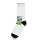 かめたびのぷ―のゴルフ Socks