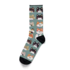 YURUPOYONの犬まみれ Socks