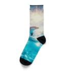 終わらない夢🌈の美しい海とイルカ🐬✨ Socks