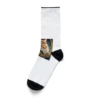 だんのんの猫王国の王様 Socks