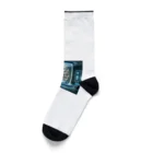 sanbikaの宇宙 Socks