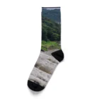 TACOIKAのHakone　RainyDay Socks