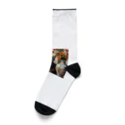 Ten117のアメショと花 Socks