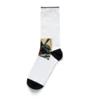 RuiButonのゴリ斎 Socks