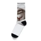 kangekiのお昼寝にゃんこNo.4 Socks