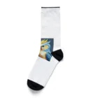 インコグッズのオカメインコとセキセイインコ Socks