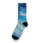 AQUAMETAVERSEの白龍青龍青空で舞う アメジスト2846 Socks