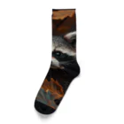 Raccoon Cool PlanetのRaccoon Cool Planet Socks