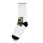 yanagi_mochiの猫侍の晩御飯 Socks