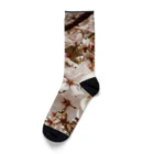 koikoi shop@suzuri店のおもいでのなかの桜 Socks